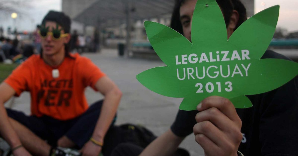 A legalização da maconha no Uruguai: um exemplo para o Brasil seguir e aprimorar!