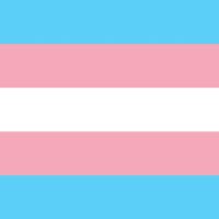 Manifesto: Lugar de trans é na universidade, sim!