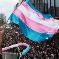 Dia Nacional da Visibilidade Trans: enfrentar a transfobia e a extrema-direita